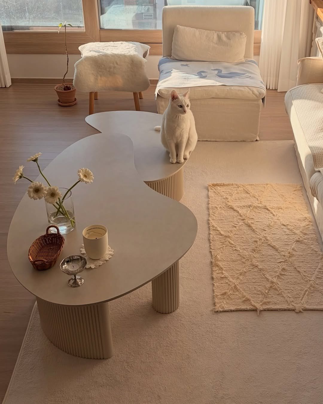 Photo by 🛋️ 썸앤데코 OFFICIAL on December 24, 2025. May be an image of table, sofa, chaise lounge, armchair, living room, indoors and text.