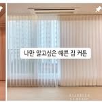 designrega.esabella 프로필 사진