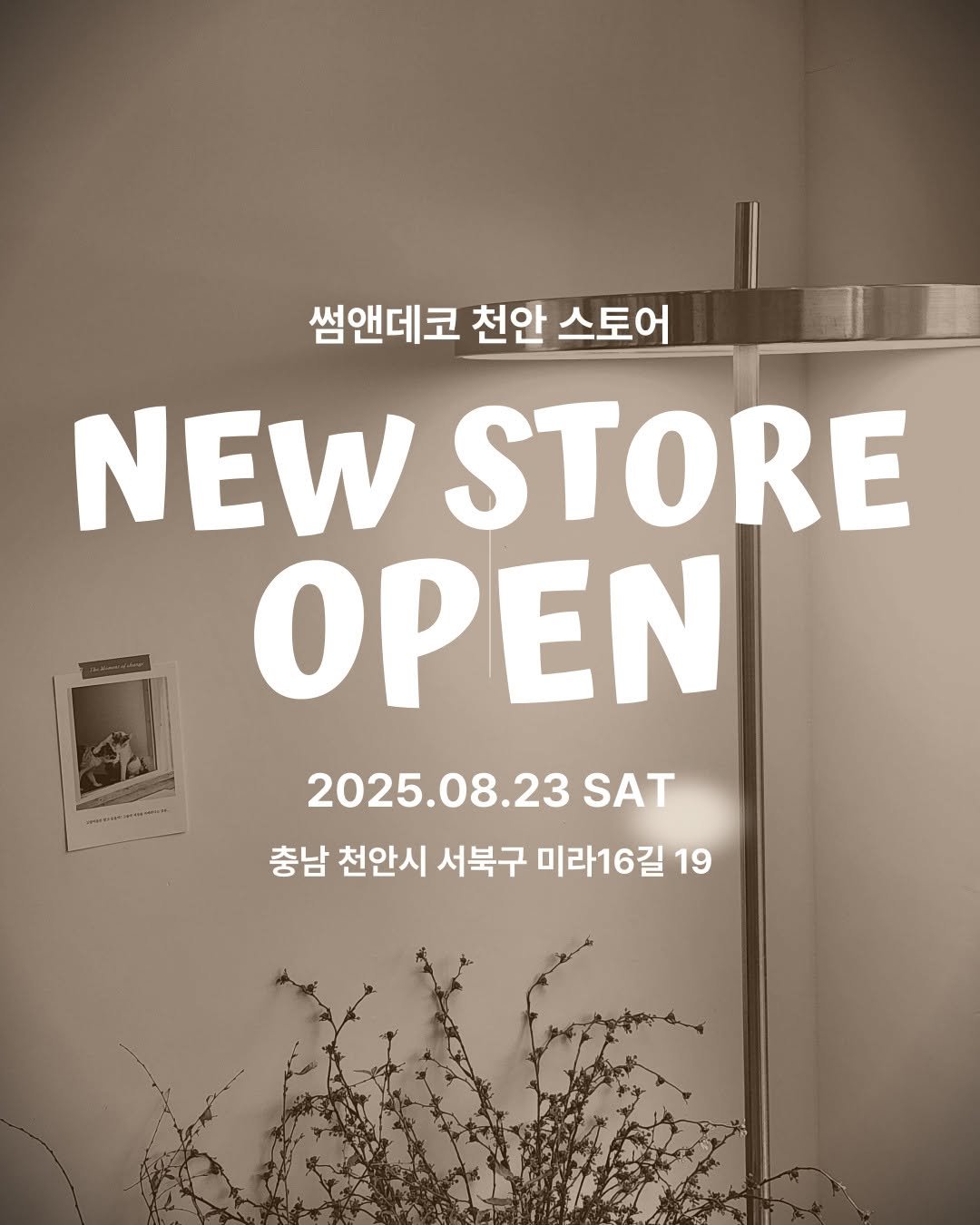 Photo by 🛋️ 썸앤데코 OFFICIAL on July 30, 2025. May be an image of text that says '썸앤데코 천안 천안 스토어 NEW STORE ΟΡΕΝ 2025.08.23 SAT 충남 천안시 서북구 미라16길 19'.