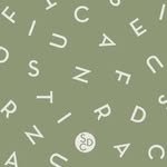 scandia_official 프로필 사진