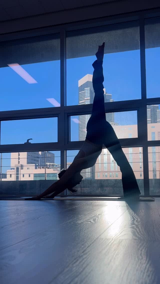 sson_da 게시물 이미지: 수업 전 내 시간🧘🏻‍♀️✨

#요가#빈야사#하타#수련#셀프수련