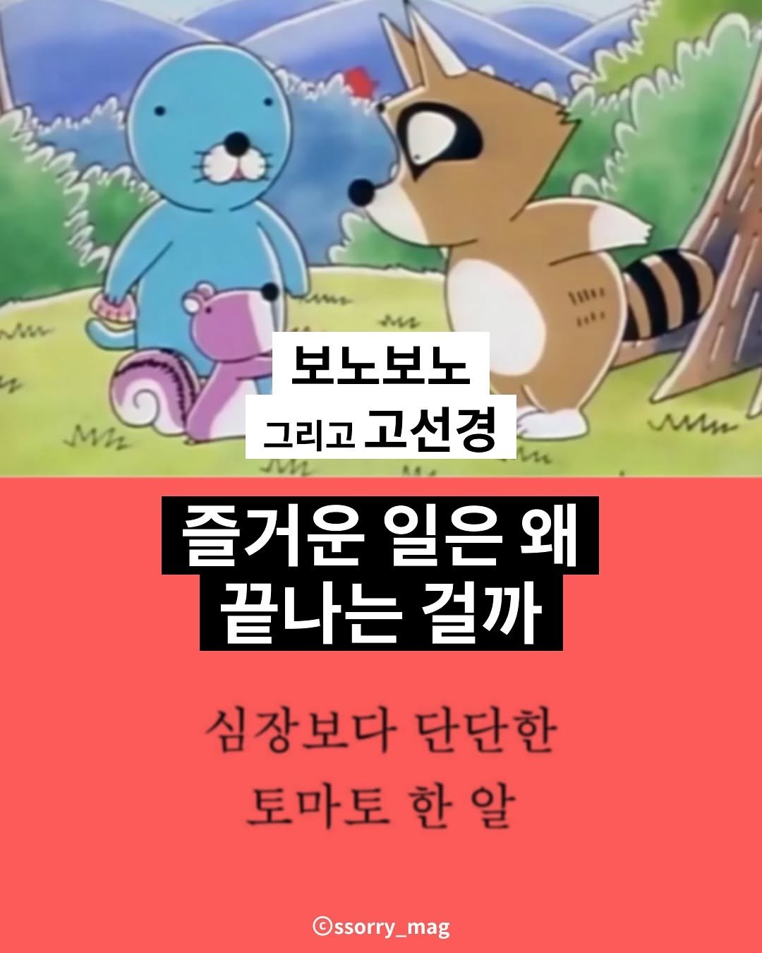 Photo by 쏘리 매거진 | 애니와 칼럼 on May 16, 2025.