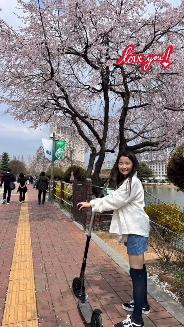 ssoyang84 게시물 이미지: 너무 찰나의순간이어서 
귀하고 소중했던 그런날들…🩵

매년오는봄도 꽃도..
요샌...