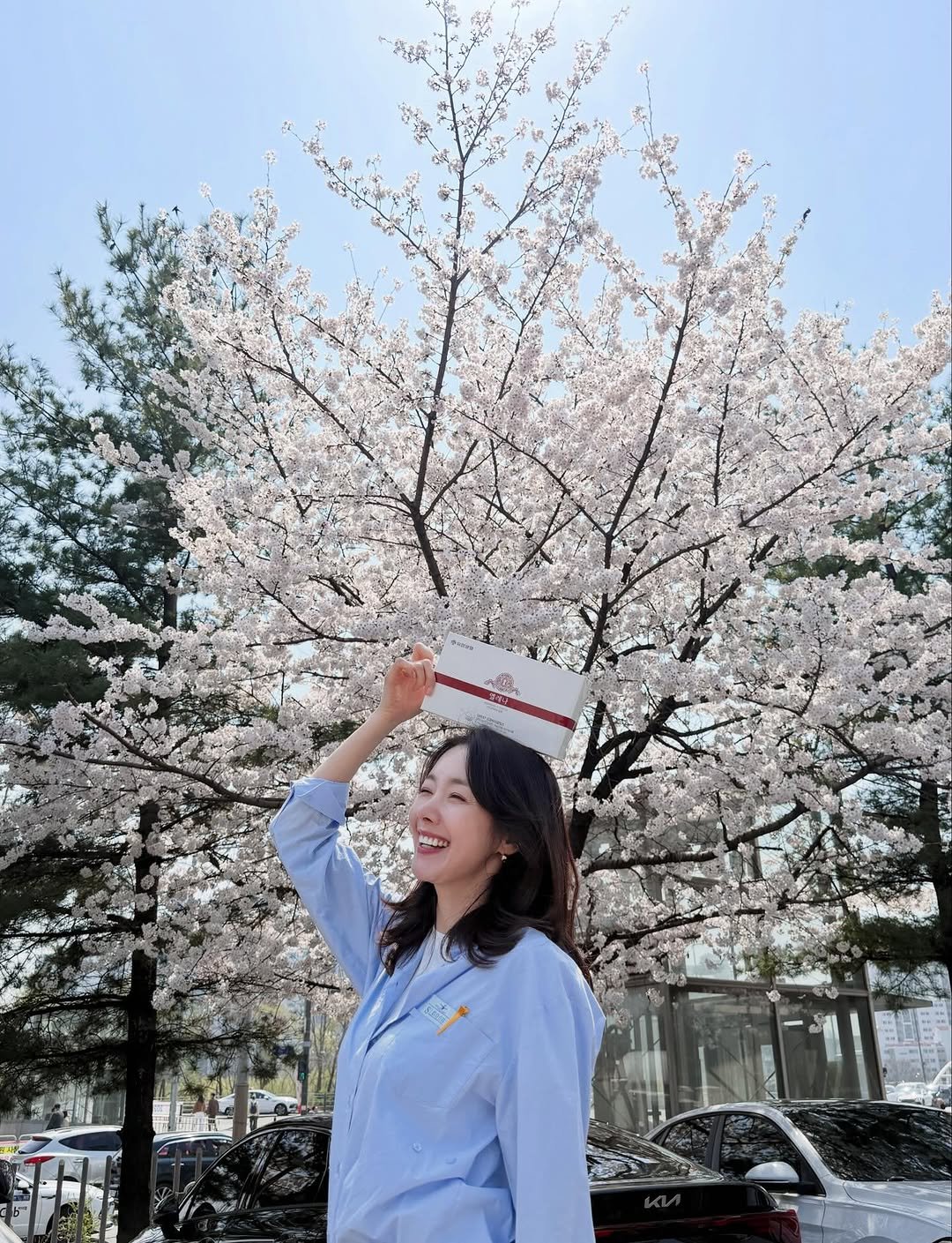 Photo by 소이현😘 on April 02, 2026. May be an image of stone-fruit tree, outdoors and text.