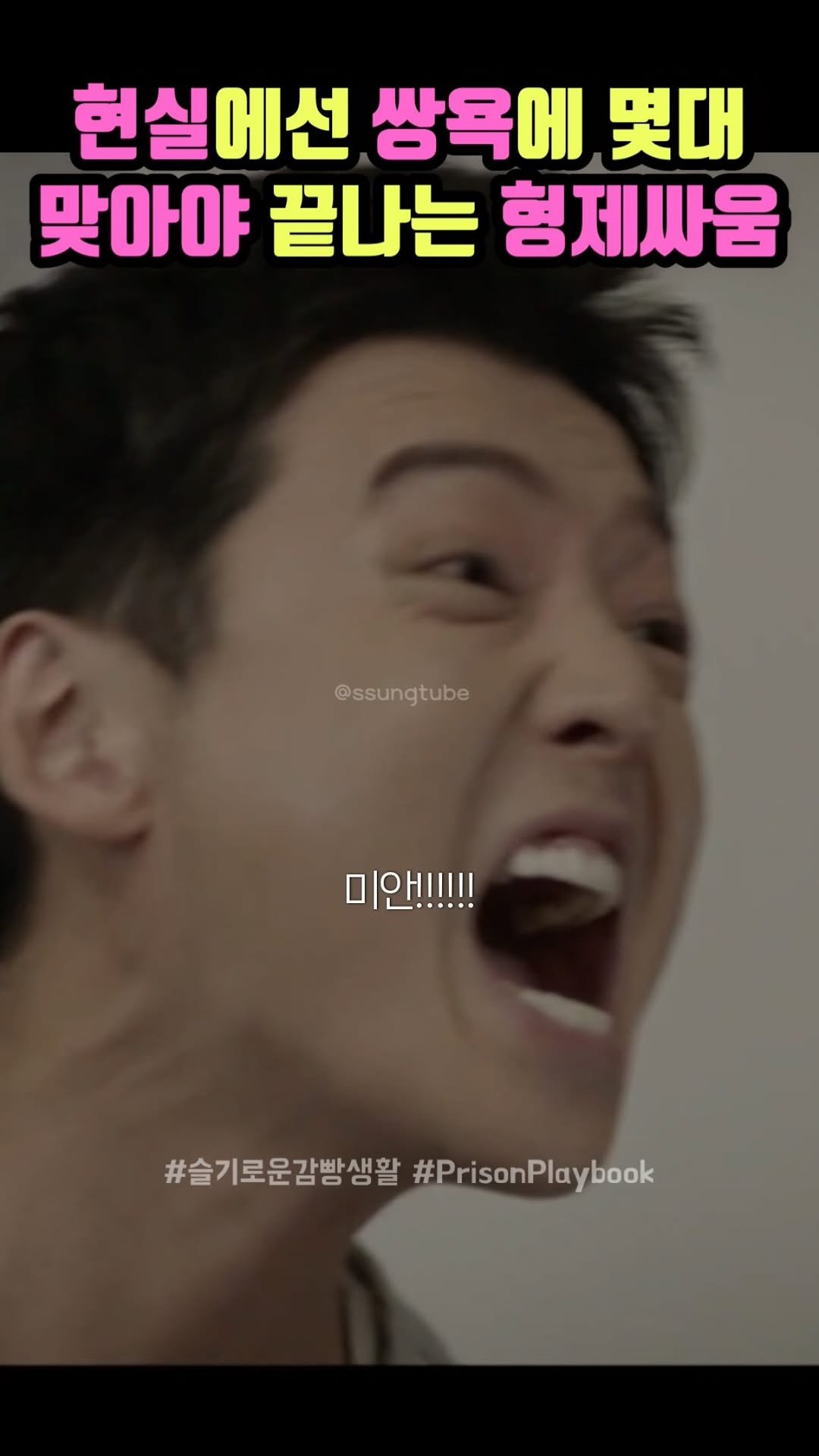 ssungtube 게시물 이미지: 현실에선 쌍욕에 몇대 맞아야 끝나는 형제싸움
.
.
.
#슬기로운감빵생활...