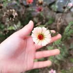 hyuny_n_j 프로필 사진