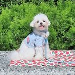 sultang__daily 프로필 사진