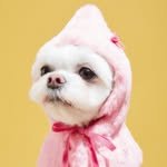sultang__daily 프로필 사진