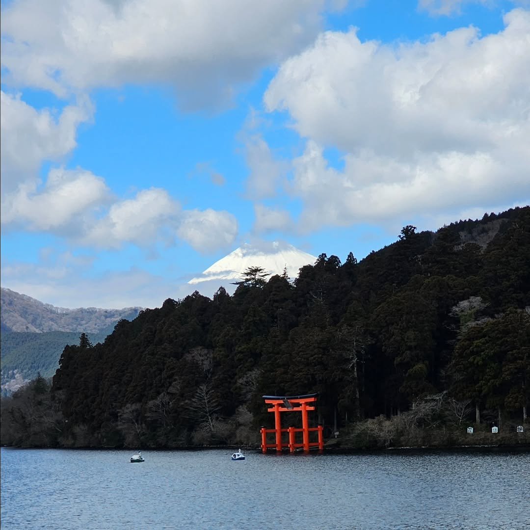 Photo by 달콩써니 on March 21, 2025.