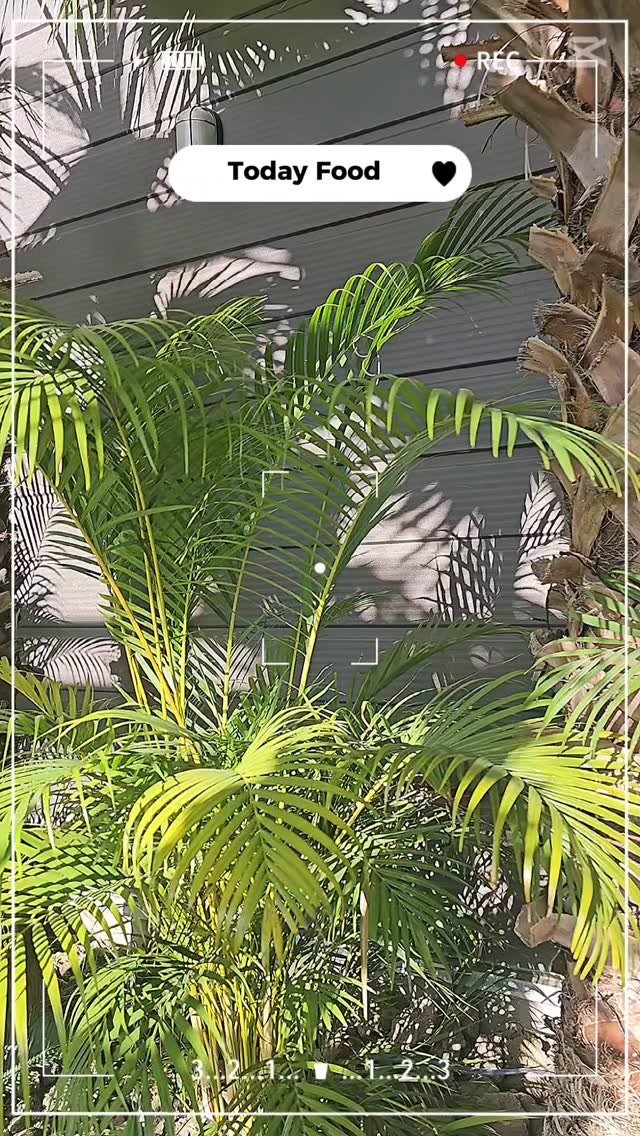 ssunny1120 게시물 이미지: 입구부터 분위기가 다릅니다.
퍼시먼커피는 들어서는 순간 식물원에 온 듯한 느낌이...