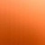 nobiases 프로필 사진