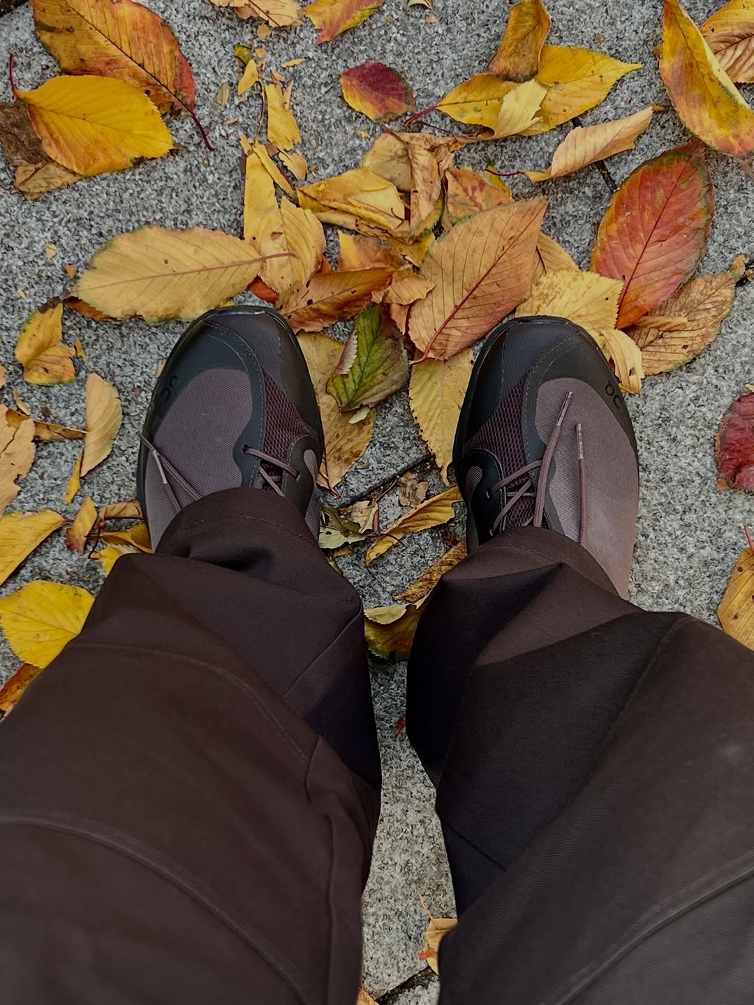 Photo shared by Euisun Sim 심의선 on November 10, 2025 tagging @on, and @postarchivefaction. May be an image of wingtip shoes, toecap shoes, outdoors and text.