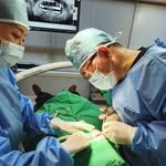 cokkiri_dental_clinic 프로필 사진