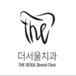 theseoul___ 프로필 사진