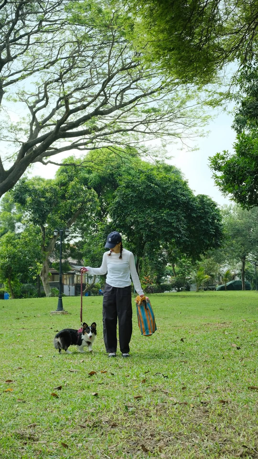 stanley1913_indonesia 게시물 이미지: A day in the park with Lilibet (& her new...