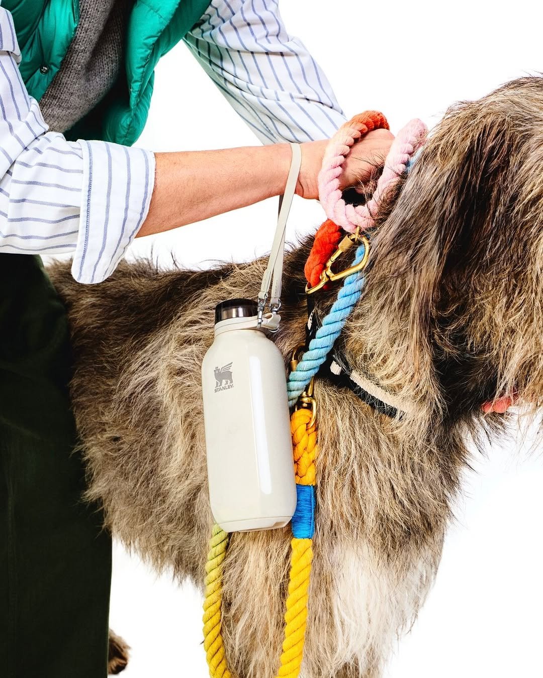 Photo by Stanley Indonesia on April 03, 2026. May be an image of Bactrian camel, lamb, Afghan hound, goat, donkey, sheep, jug, water bottle, flask and text.