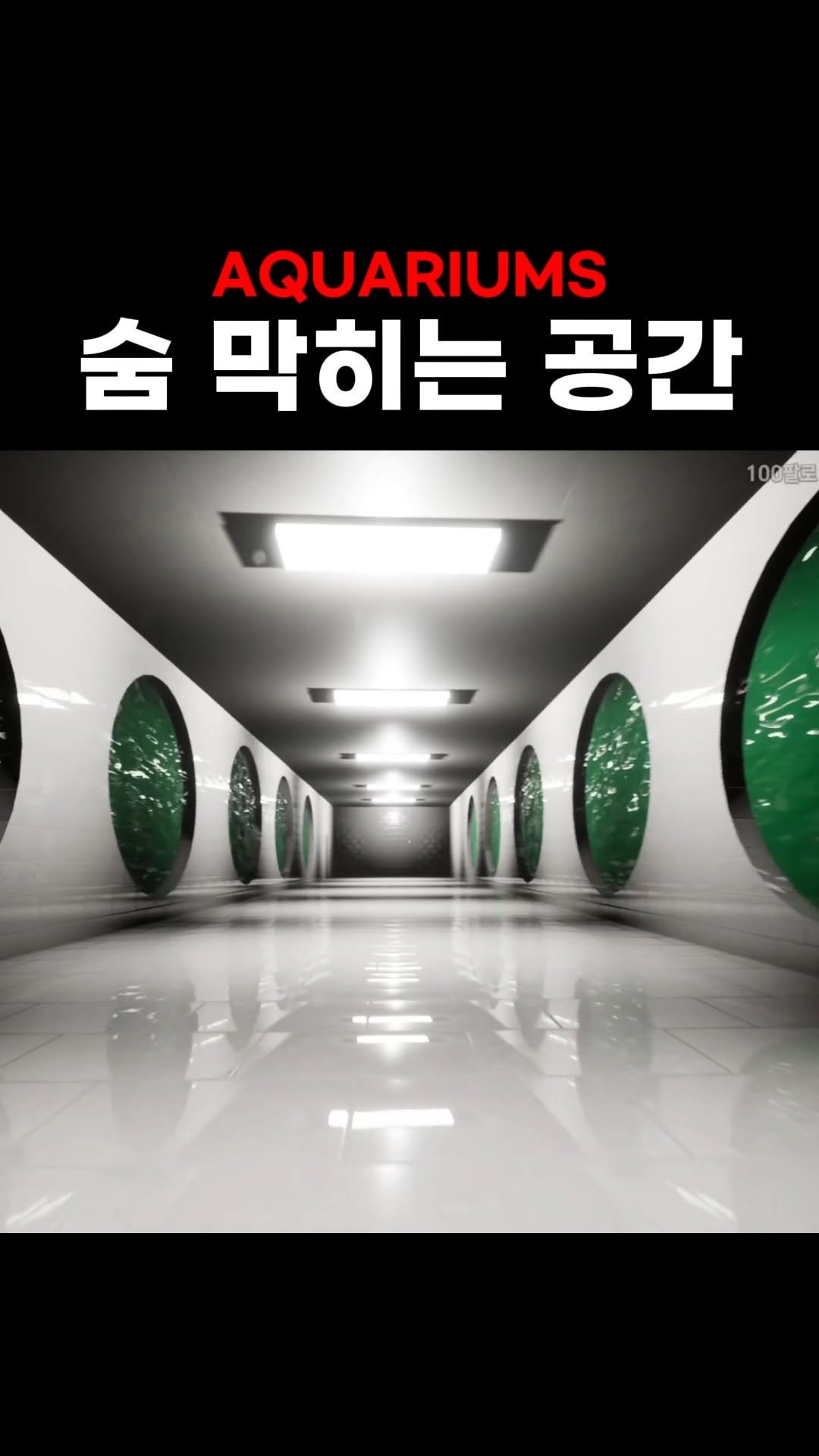 star_board_d 게시물 이미지: 압도적인 퀄리티의 심리 공포 게임
풀영상은 유튜브: Starboard...