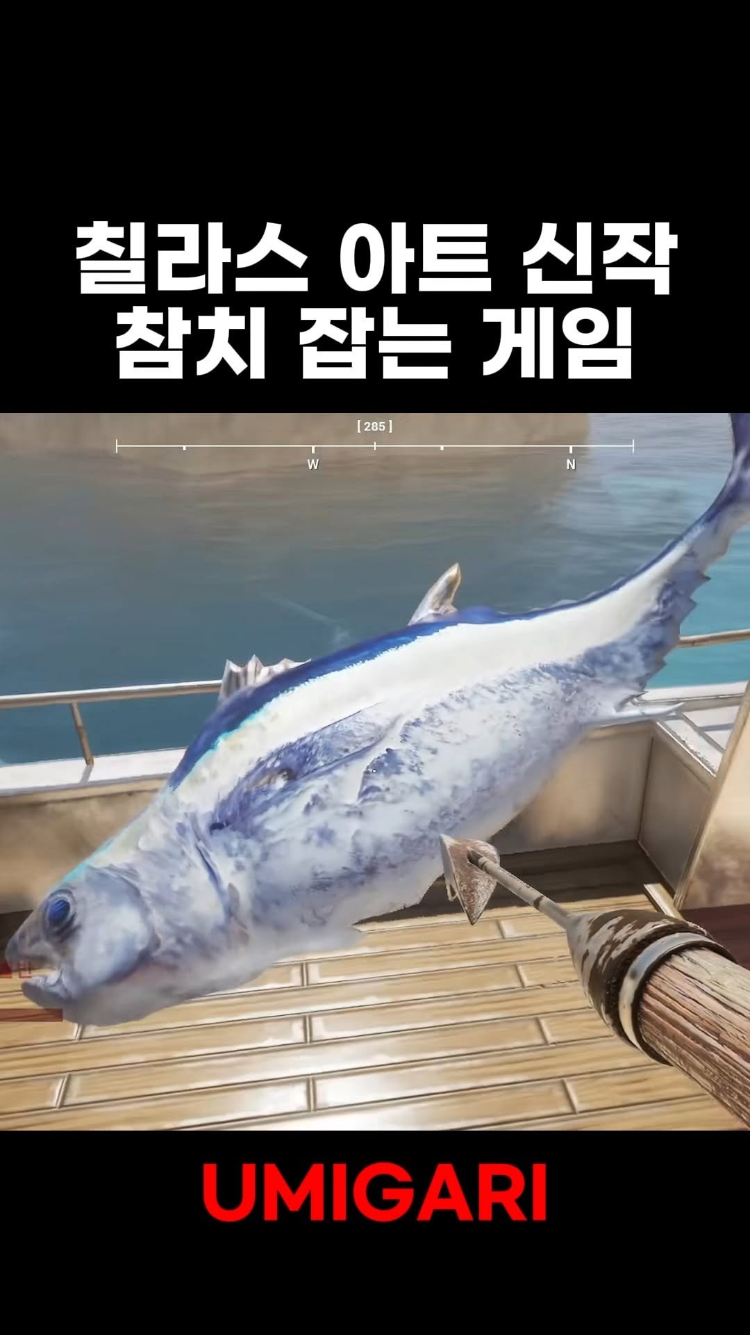 star_board_d 게시물 이미지: 참치 날아가는게 개웃김 ㅋㅋㅋㅋ
풀영상은 유튜브: Starboard...