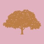 treehut 프로필 사진