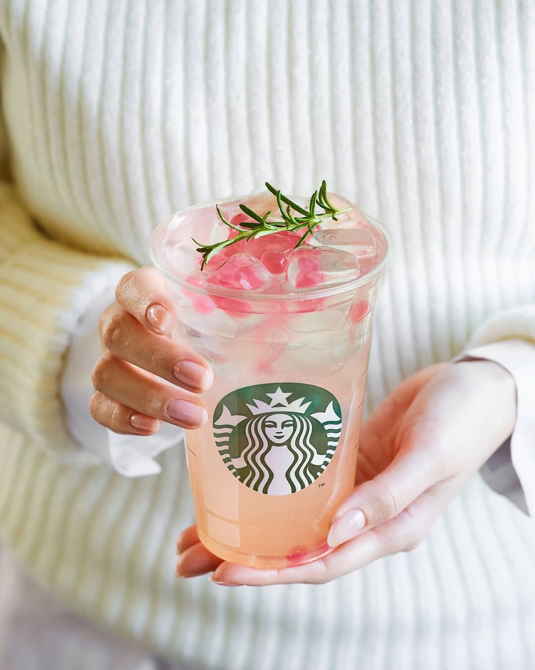 Photo by 스타벅스 코리아 on October 27, 2025. May be an image of juice, lemonade and text.