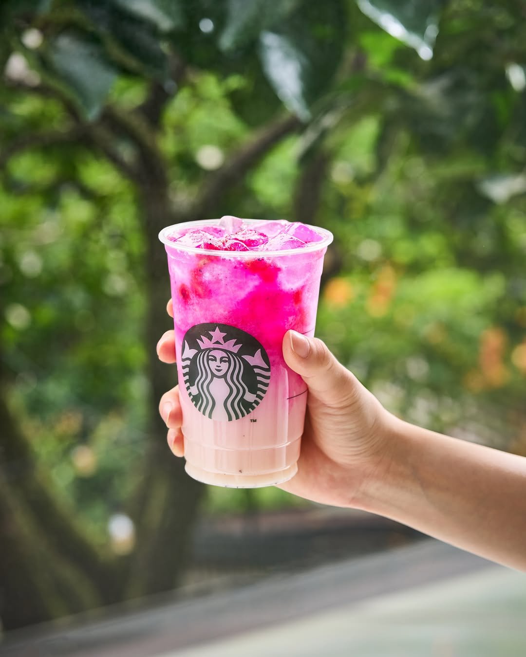 starbuckskorea 게시물 이미지: ⠀⠀⠀⠀⠀⠀⠀
피치, 망고, 딸기 등의 다양한 과일 플레이버와
코코넛 베이스가...