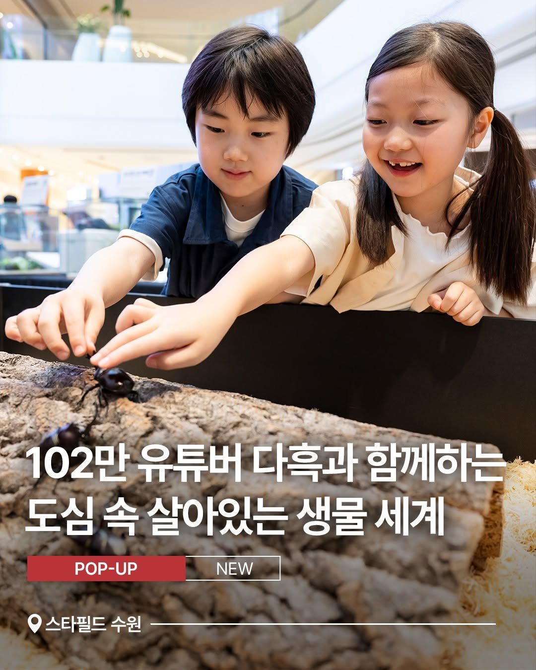 Photo by 스타필드 공식 인스타그램 on August 01, 2025. May be an image of 1 person and text that says '102만 유튜버 다흑과 함께하는 도심 속 살아있는 생물 세계 POP-UP NEW 스타필드 수원'.