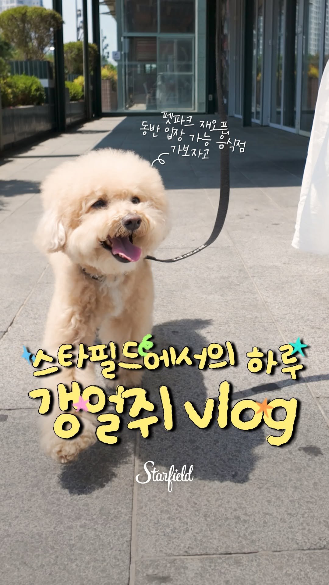 starfield.official 게시물 이미지: 강아지 친구들 주목!🐶
드디어 우리들의 아지트가 돌아왔개!🌳

스타필드 펫파크...