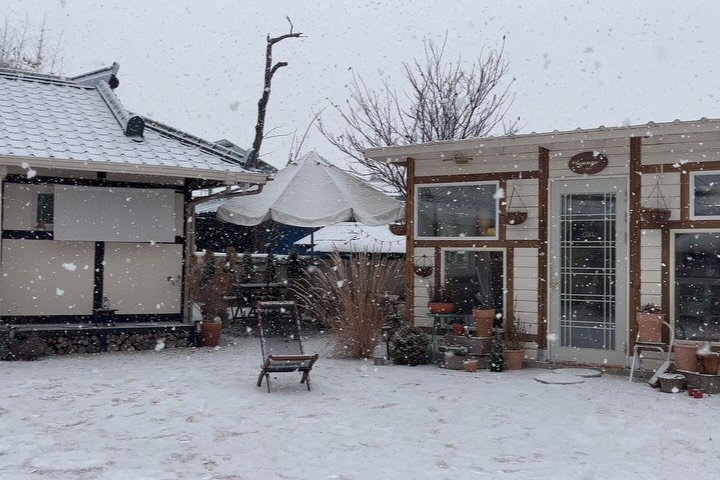 stay_the.beginning 게시물 이미지: 이번 크리스마스,
어떻게 보내실 예정이신가요? 🎄

저희는 조용한 시골에 있다...