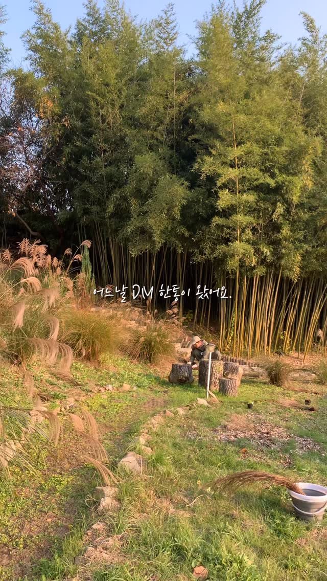 stay_the.beginning 게시물 이미지: 어느날 장문의 dm이 도착했어요. 

제주도에서 소담 정원을 운영 중이신 대표님께서...