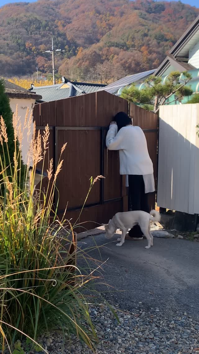 stay_the.beginning 게시물 이미지: 하루가 목이 빠지게 기다리고 있어요 ㅎㅎ👀👀

#시작에머물다