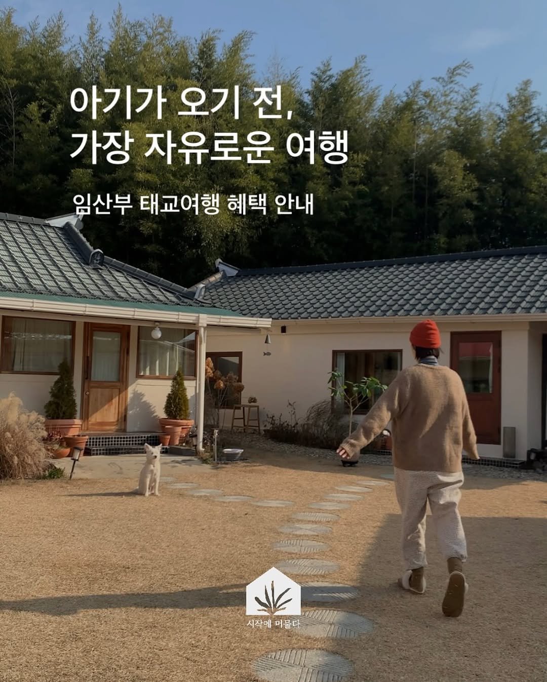 Photo by 시작에 머물다 | 옥천 감성숙소 on December 27, 2025. May be an image of outdoors and text that says '아기가 오기 전, 가장 자유로운 여행 임산부 태교여행 혜택 안내 시작에 머릅다'.