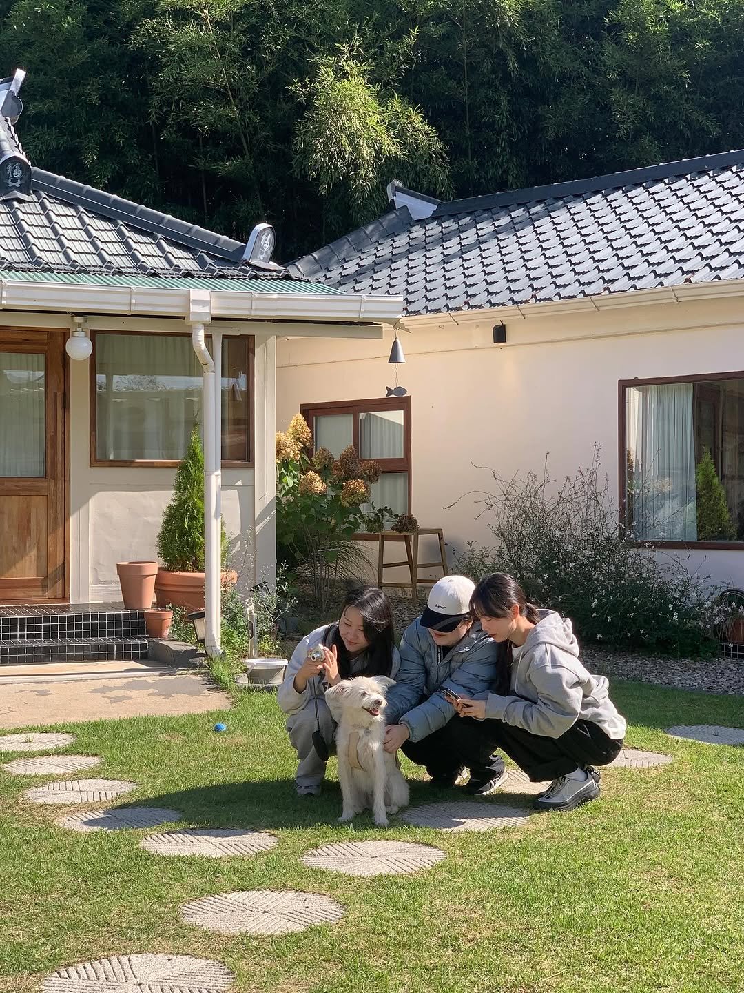 Photo by 시작에 머물다 | 옥천 감성숙소 on October 28, 2025. May be an image of cocker spaniel, Bedlington terrier, outdoors and text.