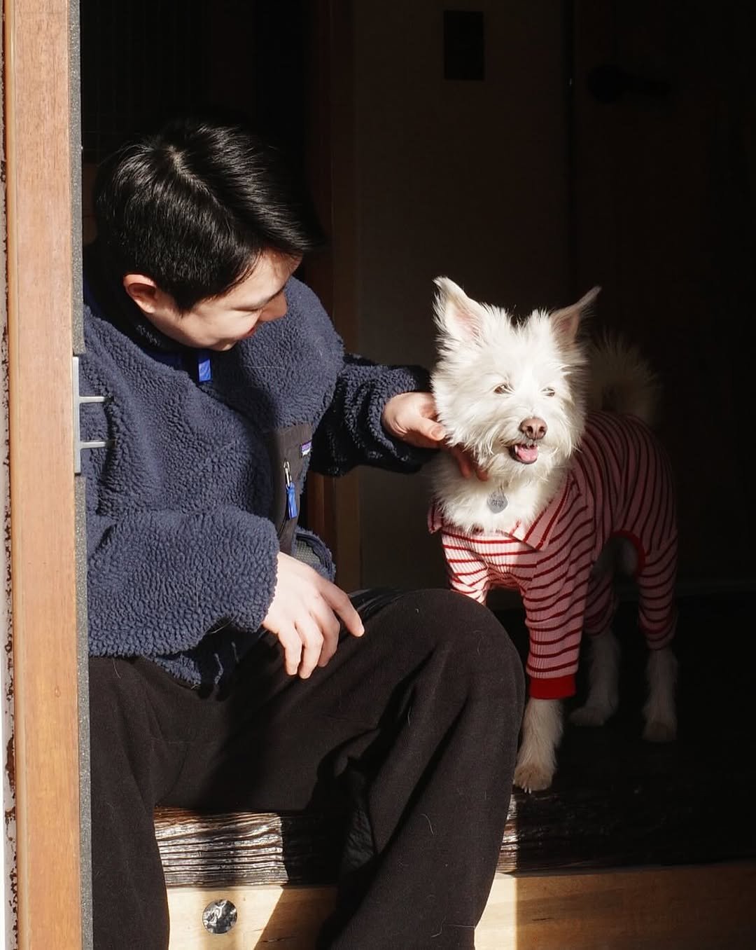 Photo by 시작에 머물다 | 옥천 감성숙소 on January 27, 2026. May be an image of Norwich terrier, Maltese and text.