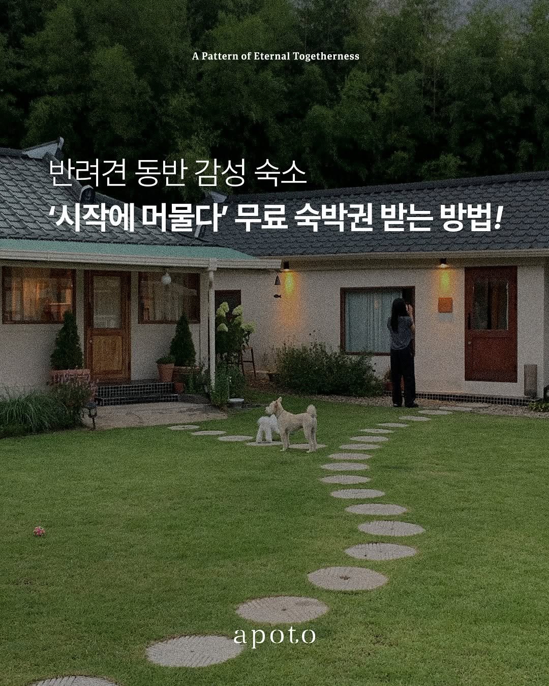 Photo by 시작에 머물다 | 옥천 감성숙소 on November 08, 2025. May be an image of outdoors and text that says 'APatternofEternalTogetherness A Pattern of Eternal Togetherness 반려견 동반 감성 숙소 '시작에 머물다' 무료 숙박권 받는 방법! অআাাर्ार) UC AA apoto'.