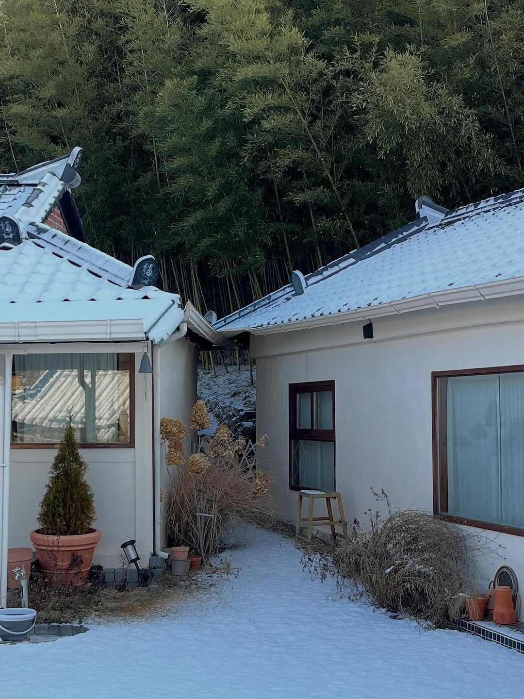 Photo by 시작에 머물다 | 옥천 감성숙소 on January 23, 2026. May be an image of snow and text.