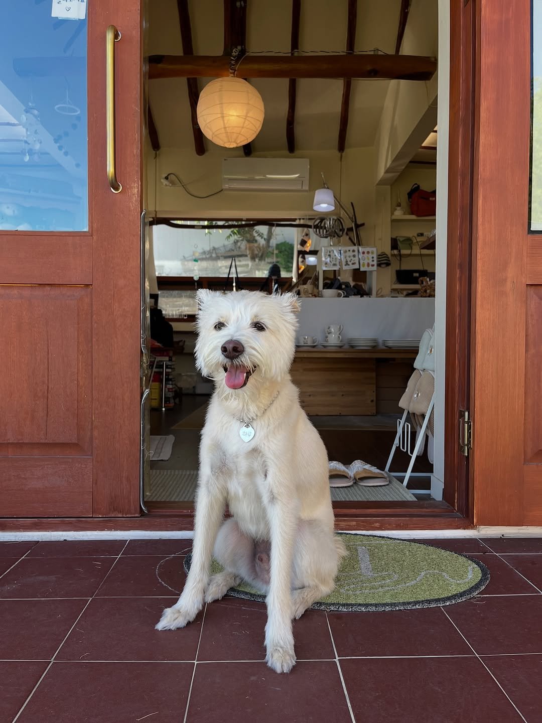 Photo by 시작에 머물다 | 옥천 감성숙소 on August 22, 2025. May be an image of dog, door and text.