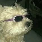 foobox_ 프로필 사진