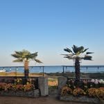 bell__0112 프로필 사진