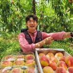 taurusfarm_official 프로필 사진