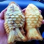 jungjae0508 프로필 사진