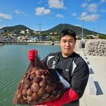 gyeongsang_do1 프로필 사진