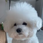 stella__j.young 프로필 사진