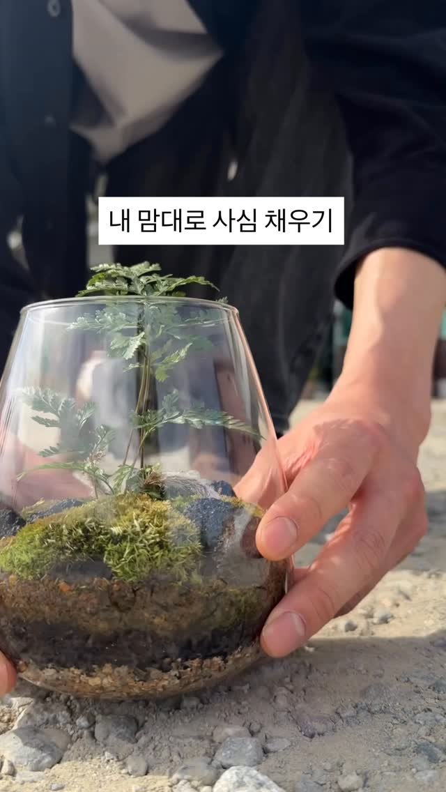 stone_dress_ 게시물 이미지: 테라리움을 만들다 보니
어느순간 너무 많아졌어요
그래서 직접 찾아가서
좋아하는...