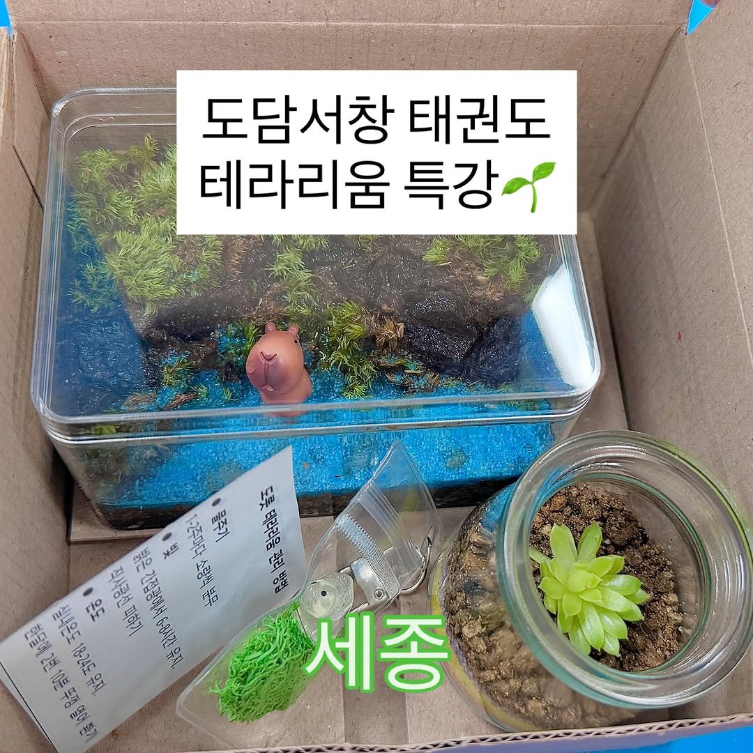 Photo by 도롯 l 테라리움 l 플렌테리어 l 공방 l 출강 l 원데이클래스 l 세종 l 대전 l 청주 on September 07, 2025. May be an image of plant and text.