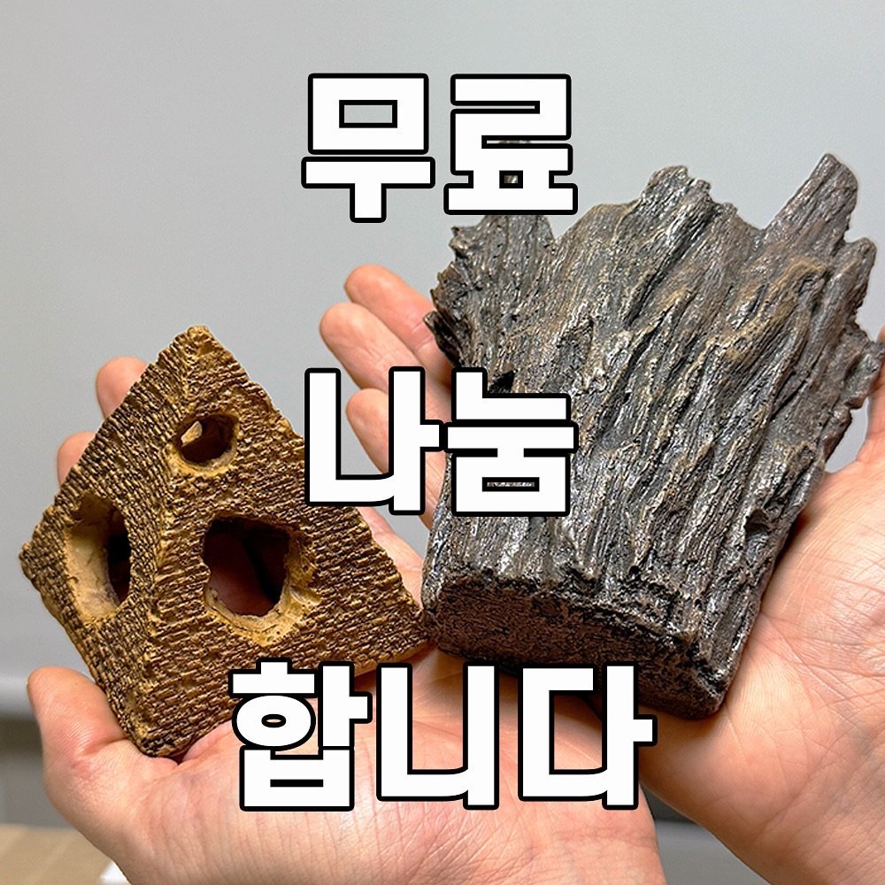 Photo by 도롯 l 테라리움 l 플렌테리어 l 공방 l 출강 l 원데이클래스 l 세종 l 대전 l 청주 on September 09, 2025. May be an image of tofu and text that says '무료 나눔 합니다'.