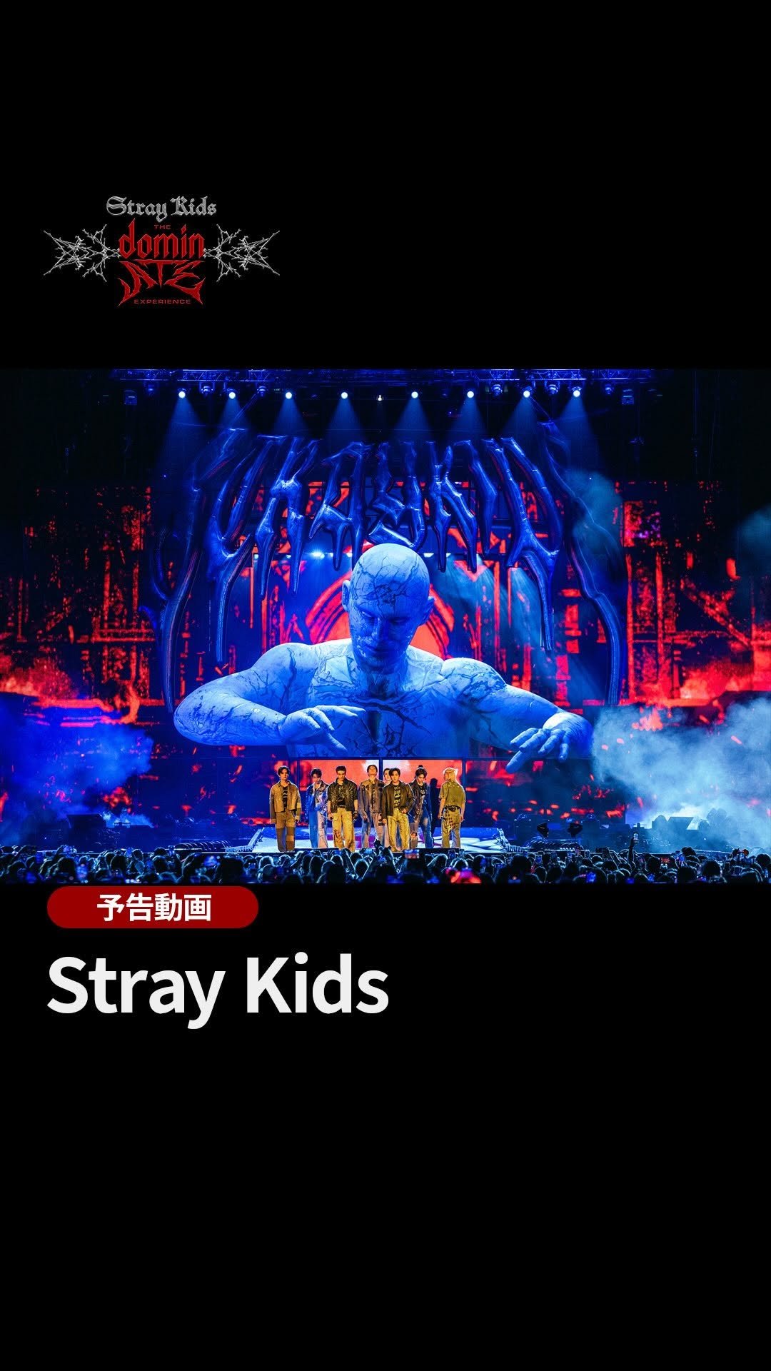 straykids_official_jp 게시물 이미지: 「Are You Ready?」❤️‍🔥

『#StrayKids : The...