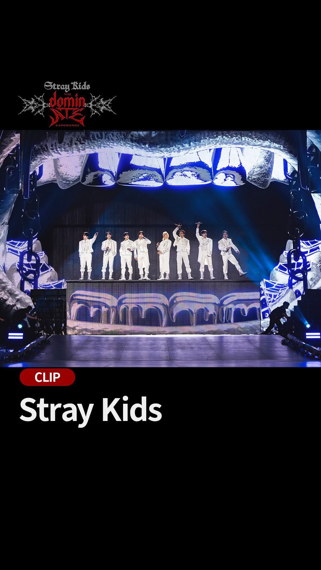 straykids_official_jp 게시물 이미지: ＼祝！本日5/15(金) 公開🔥／

『#StrayKids : The dominATE...