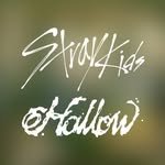 straykids_official_jp 인스타그램 프로필 사진
