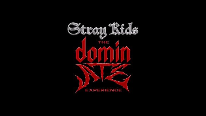 straykids_official_jp 게시물 이미지: 『Stray Kids : The dominATE...