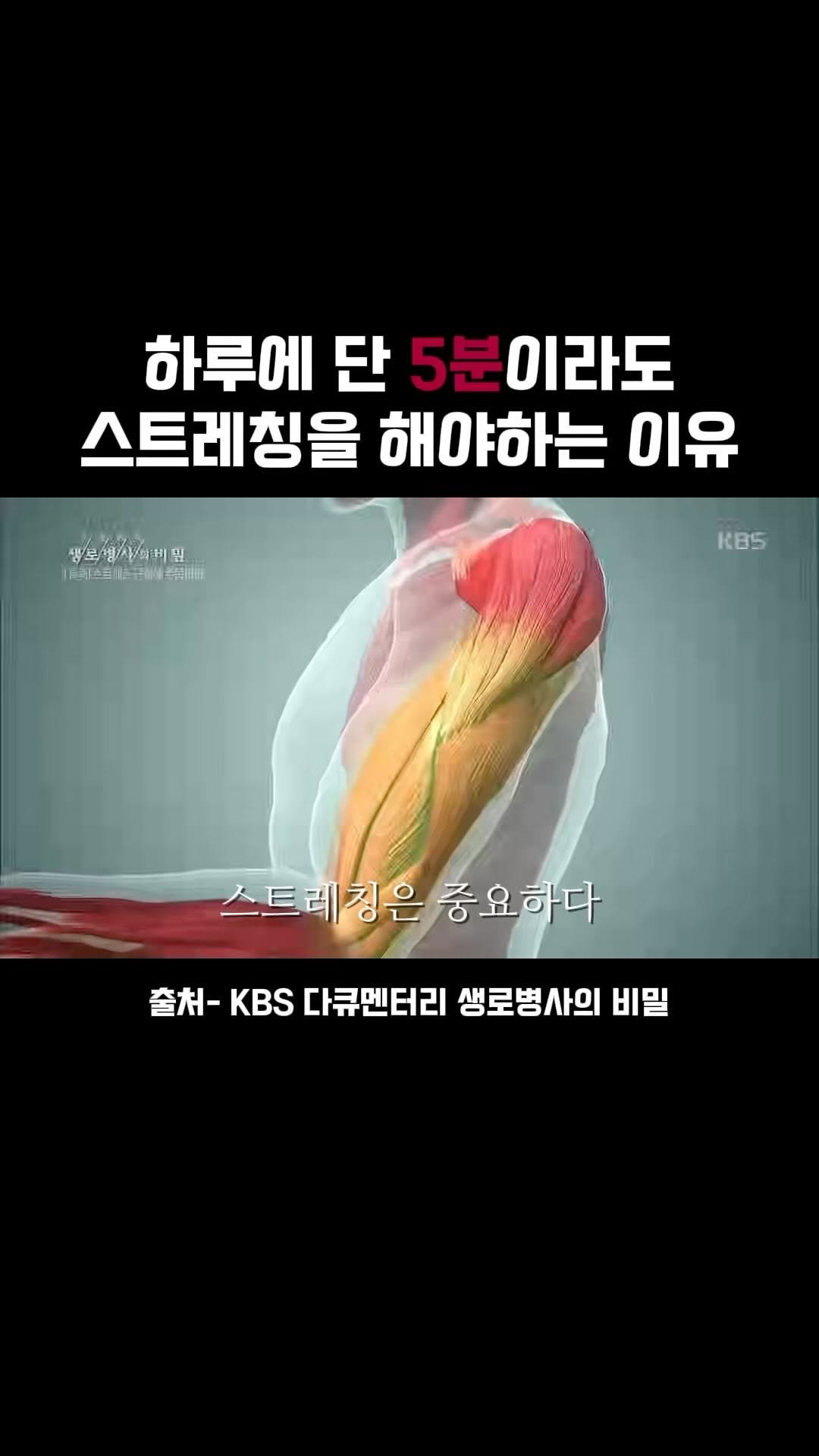 stretch_storage 게시물 이미지: ☑️스트레칭은 중요하다

하루에 5분만이라도 틈틈히 스트레칭을
꼭 해보세요!